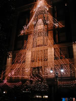 Macy's Christmas Tree